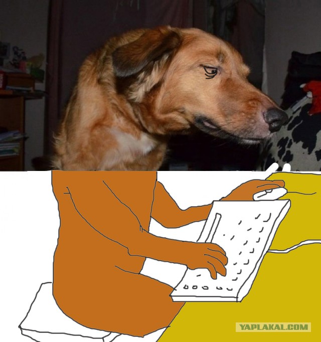 Собака-много чего умяка