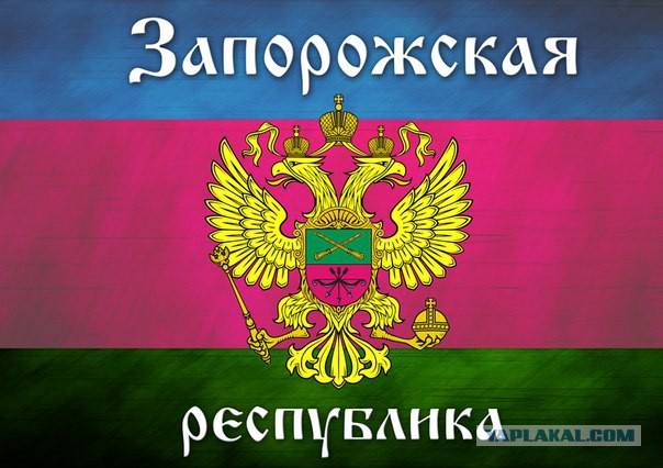 Войска ДНР вошли в Запорожскую область