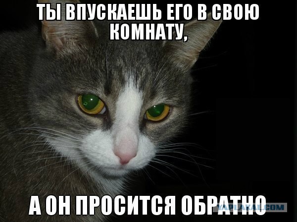 Смешное из сети #2