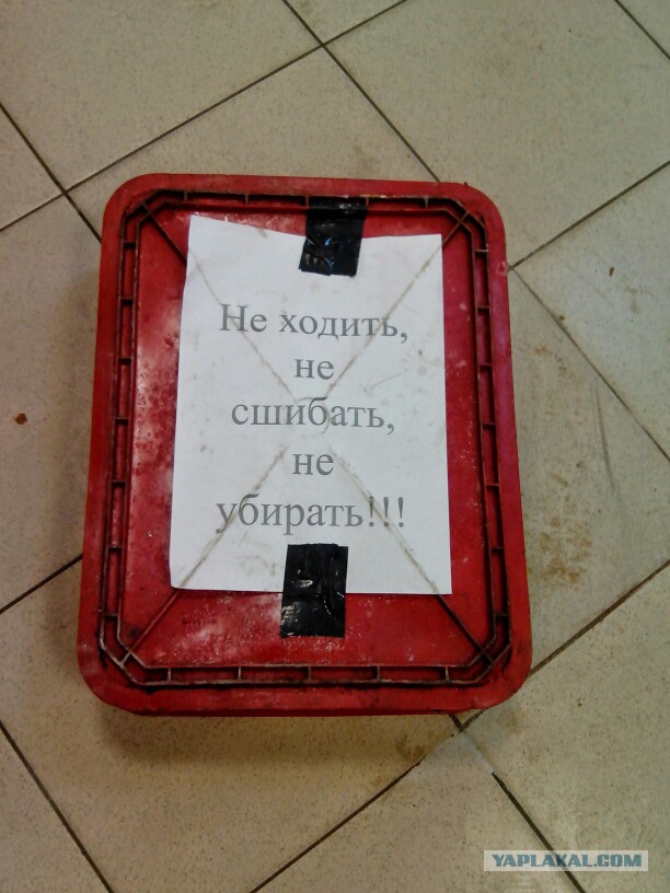 Прикольные надписи