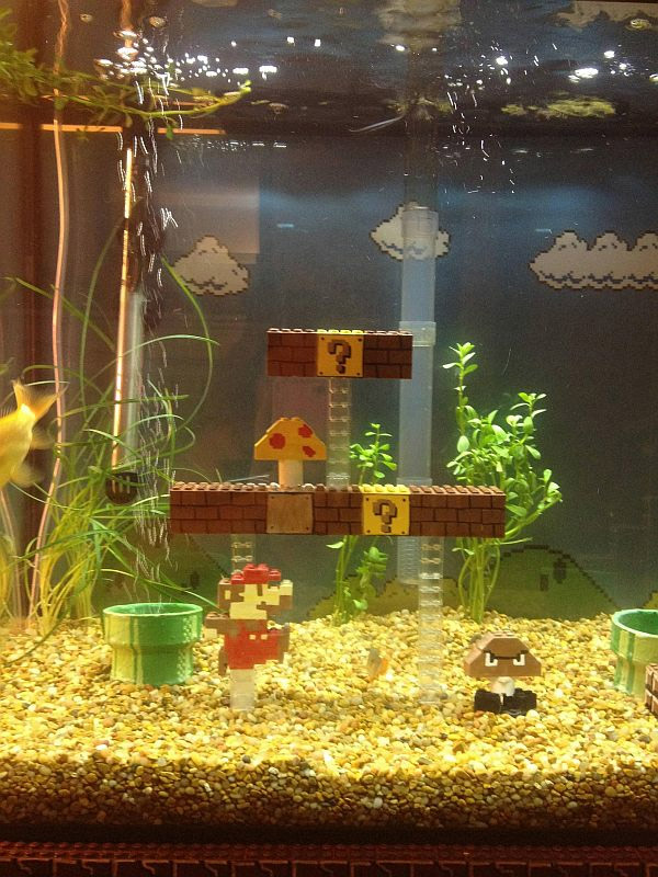 Креативный аквариум в стиле Марио
