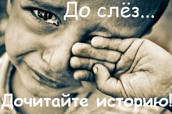 О интуиции, нужде и силе воли.