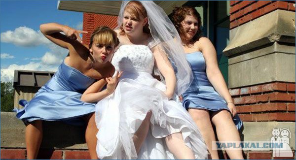 Свадьба это весело - 4. Смотрим картинки.