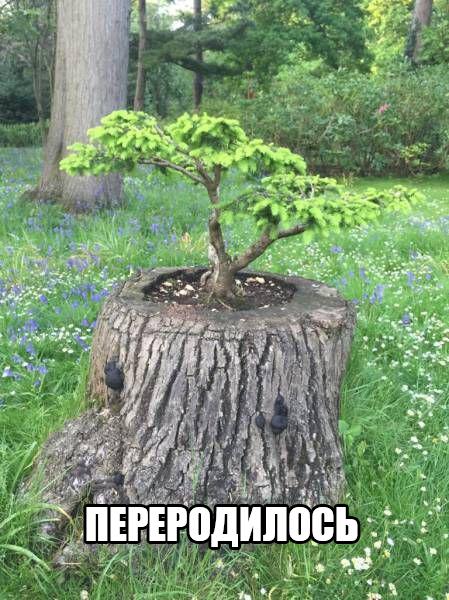 Интересные и веселые картинки