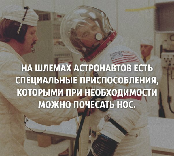 Интересные и веселые картинки