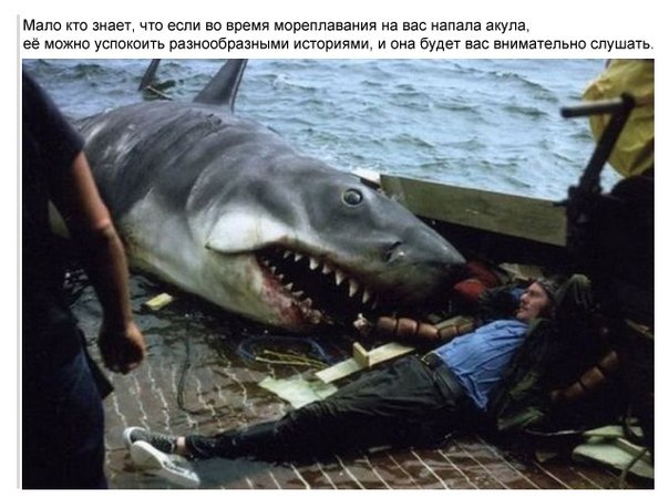 Забавности из интернетов