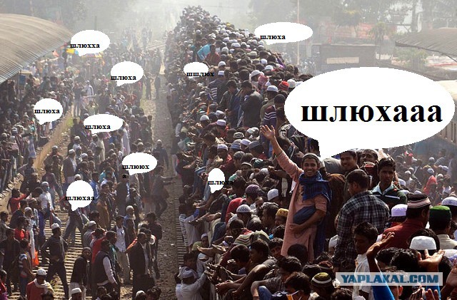 Житель Краснодара случайно снял жену с любовником, решив проследить за сыном