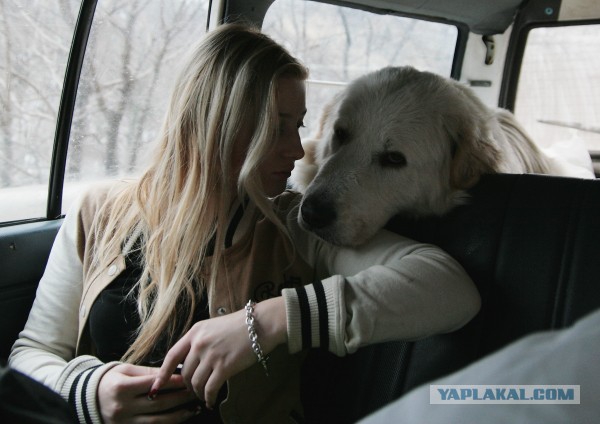 Первая встреча и любовь с первого взгляда.