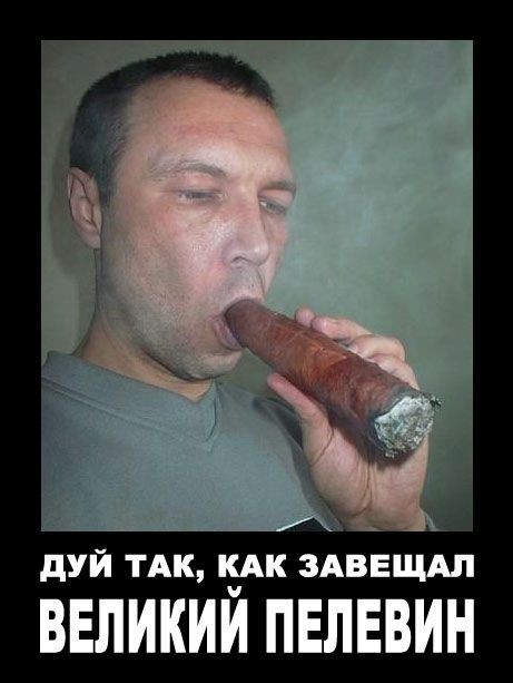 Прикольная подборка картинок!