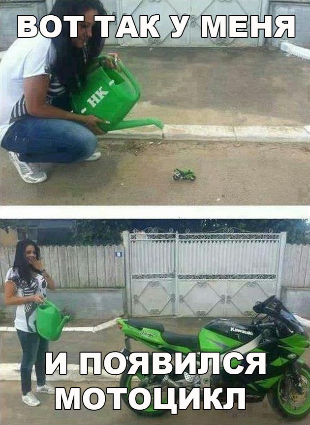 Нестандартный юмор
