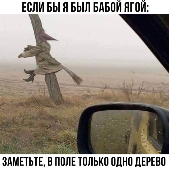 Прикольные картинки абавсём