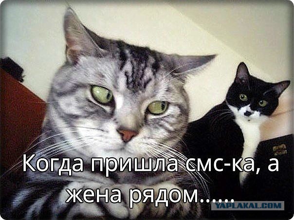 Подборка прикольных и просто красивых картинок 10.03.2019