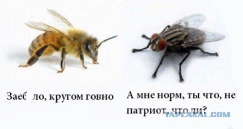 Многодетная мама из Колы, за комментарий в ВКонтакте попала в базу экстремистов