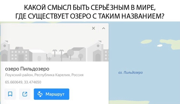 Забавные комментарии из социальных сетей 04.11.19