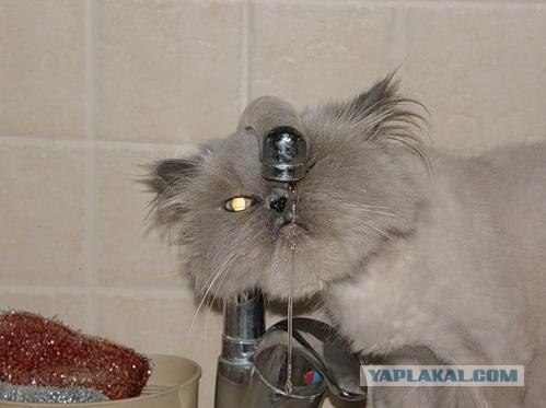Утро воскресенья