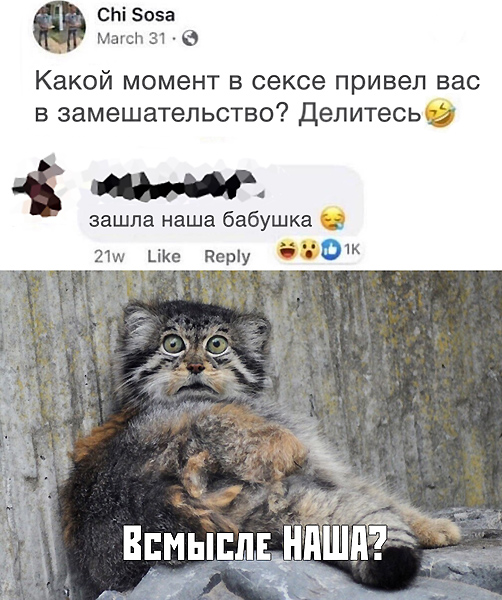 Так себе картинки 12.05.20