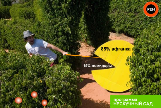 Конкурс фотожабы от интернет-магазина Mrsoft