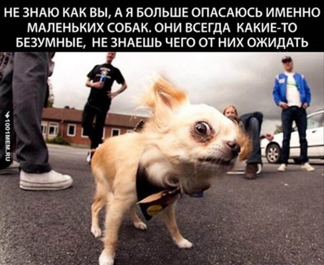 Немного картинок для настроения 17.11.20