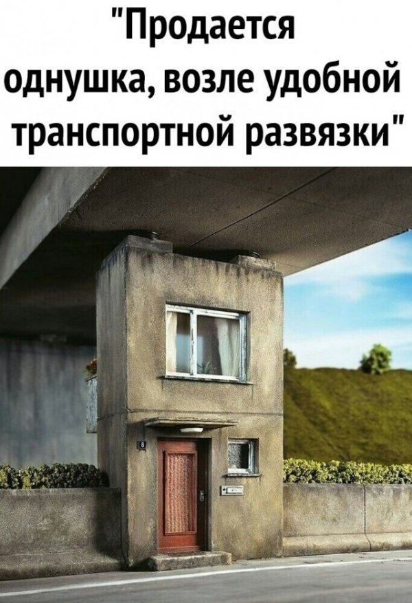 Прикольные и просто красивые картинки 26.11.2020