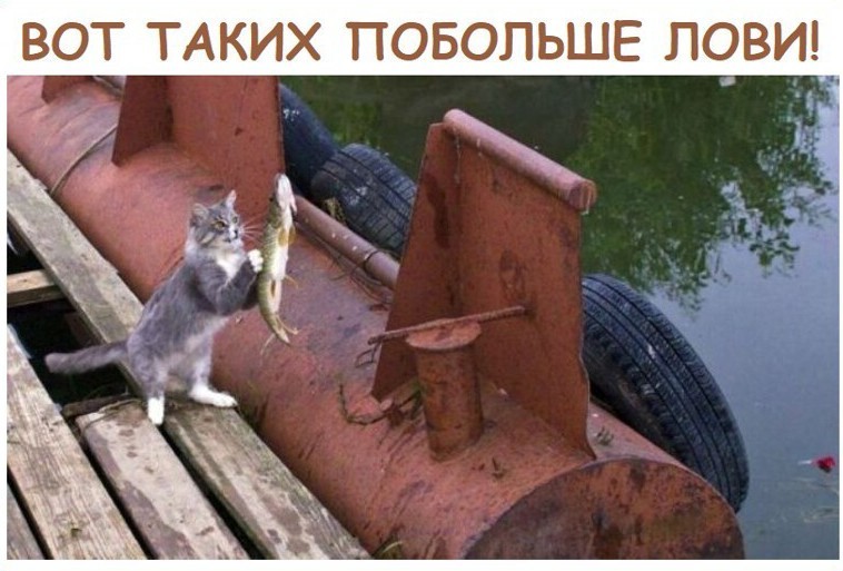 15347010.jpg