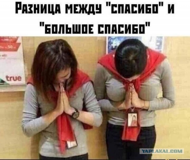 Всяческие картинки 03.12.2021