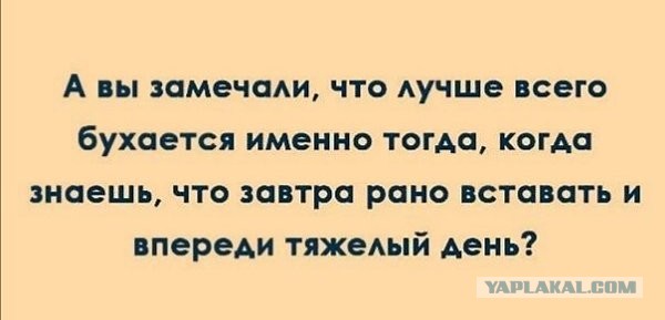 Как американцы превратили завтрак в «самый важный приём пищи за день», каковым он не является