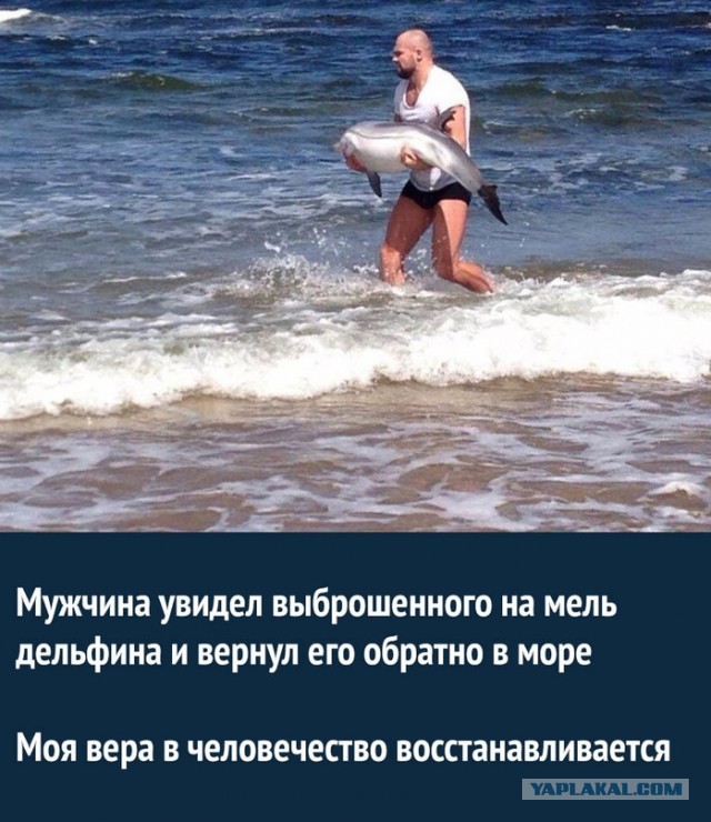 Картинки и мемы, всем хороших выходных