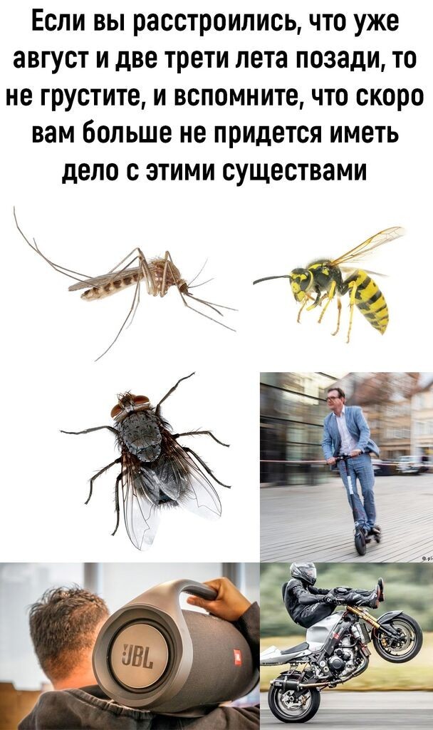 Охотник терпеливо ждал добычу...