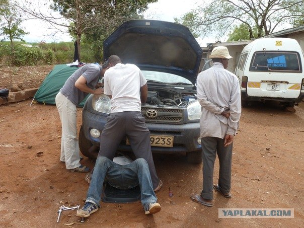 AFRICA - (Эфиопия,Кения,Танзация) 4-16 ноября 2011