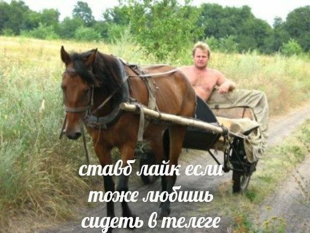 Картинки и мемы. Выходные близко...