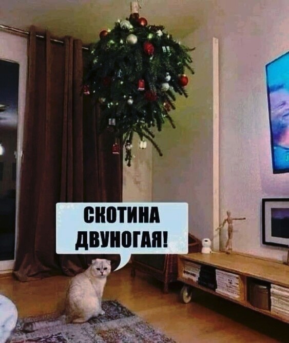 Выкладывайте свои елки!