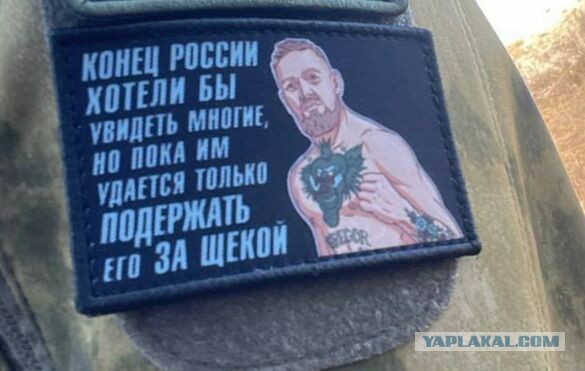 Панцирь-С1 против 2х Himers