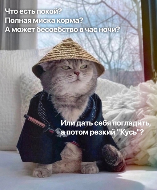 Картинки и мемы, всяко разно - 171