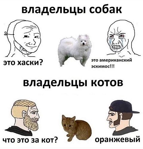 Юморески в JPG