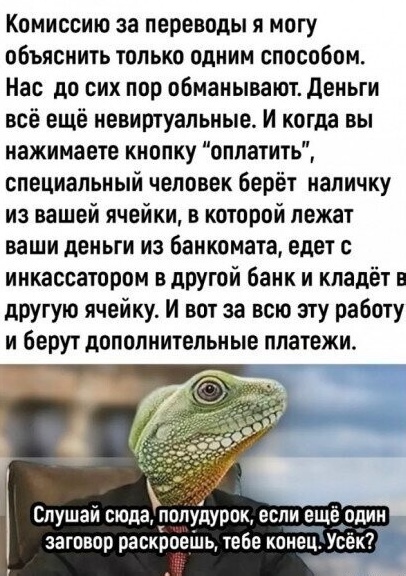 Весёлый полтишок 08.09.23