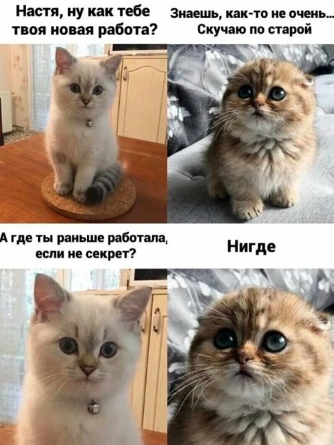 Просто картинки из сети