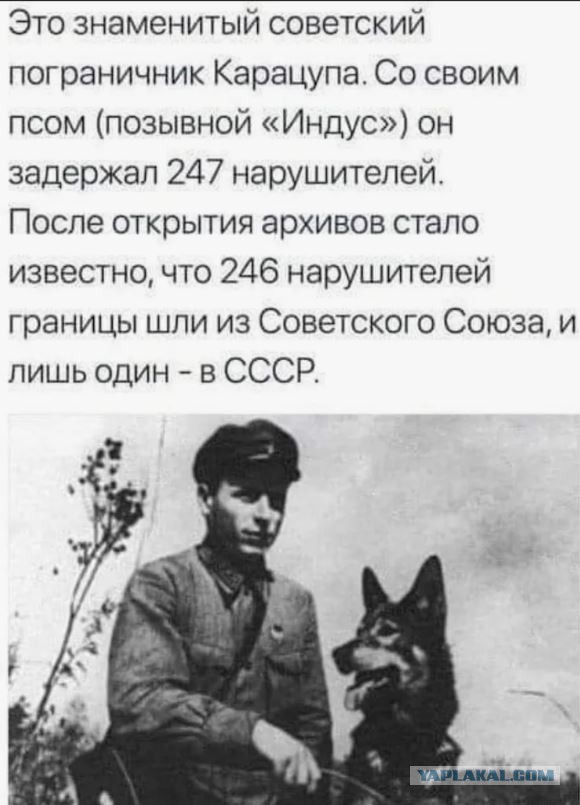 В Финляндии предложили расстреливать пересекающих границу без разрешения