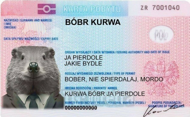 Ой, какой милый ёжик