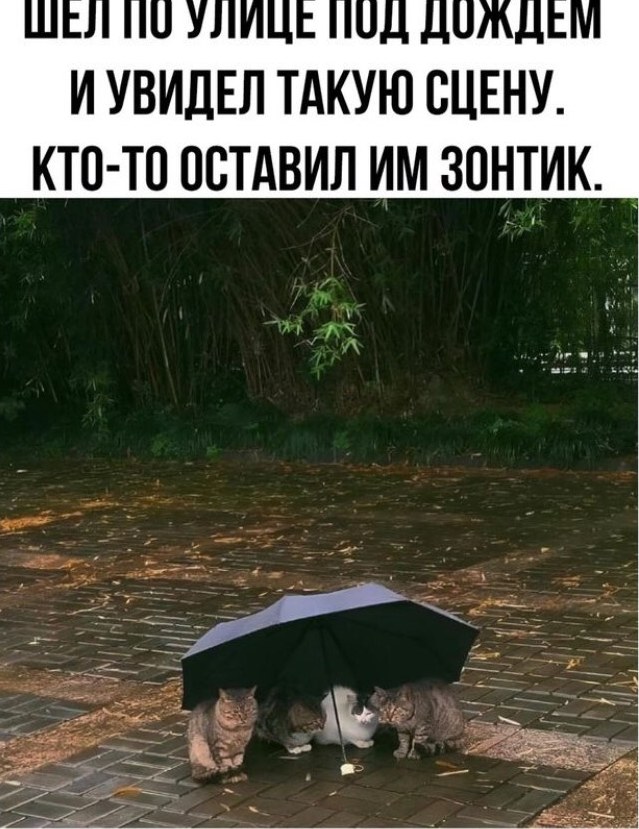 Завалялось тут случайно немного забавных картинок