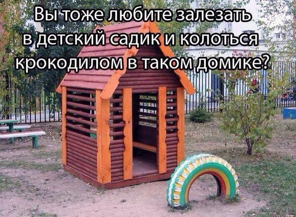 Нуштош 04.10.2024