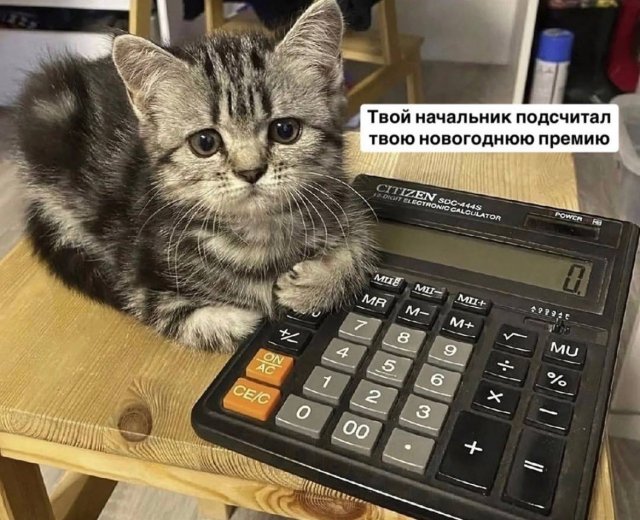 Так себе картинки 24.12.24