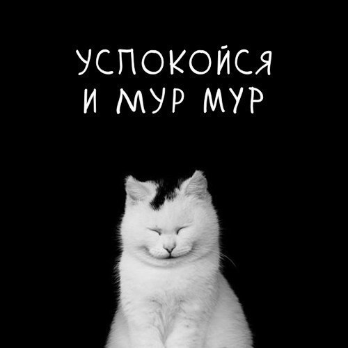Мурмурация (Танец птиц)