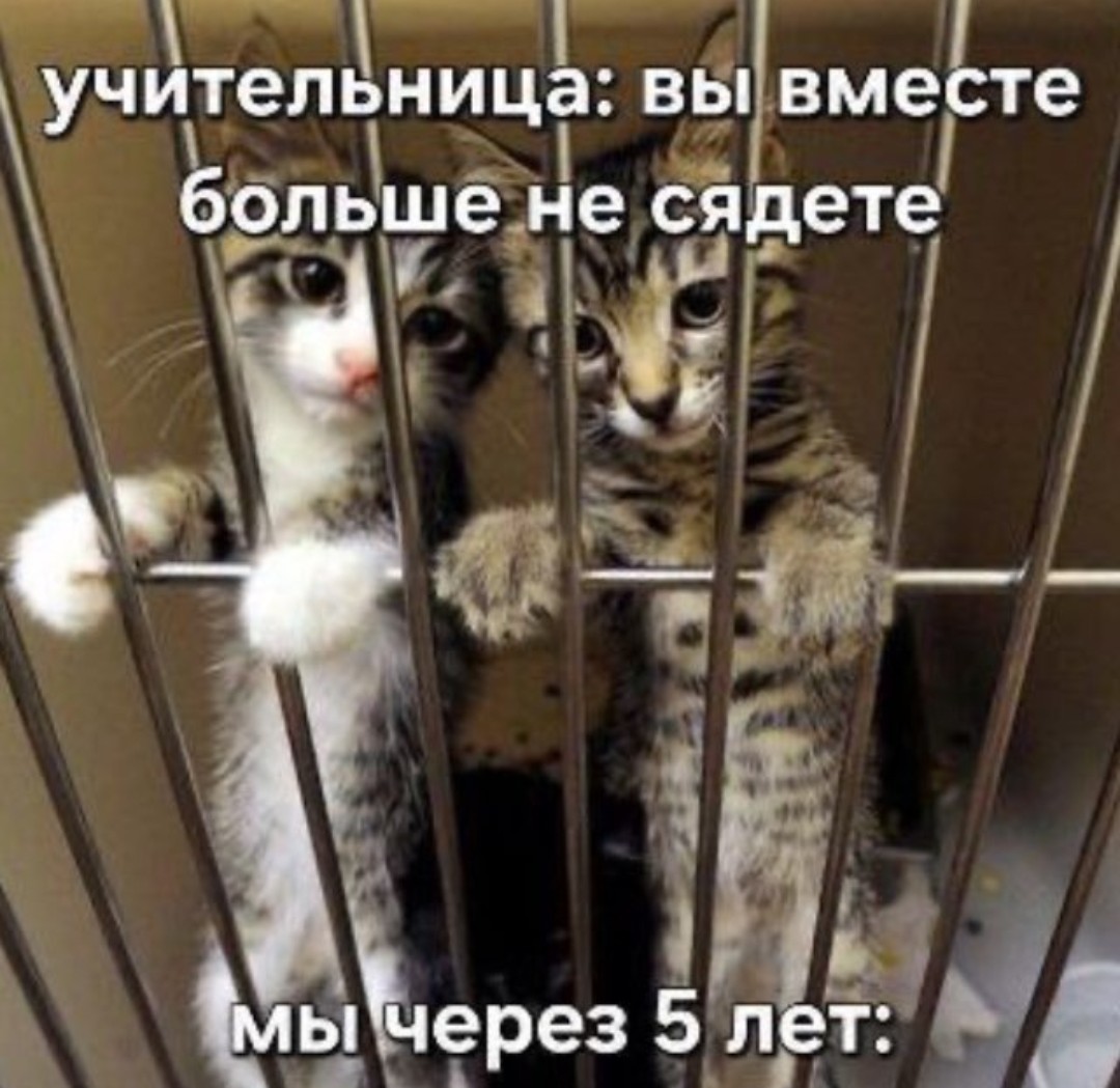 20563010.jpg