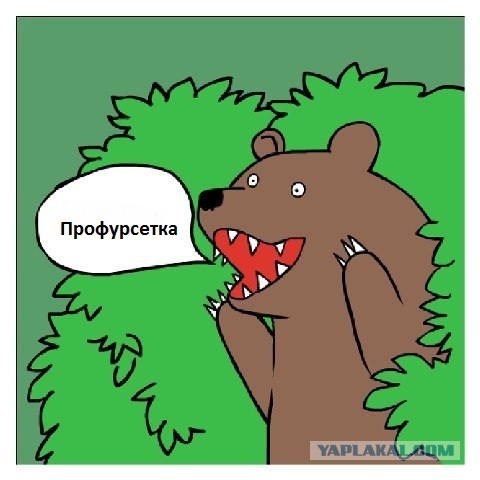 Как медведя изнасиловали
