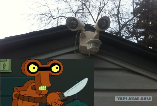 Упоротость вокруг нас