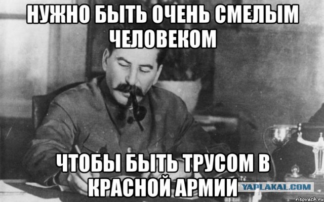 Политическая солянка #1
