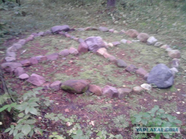 Коловрат