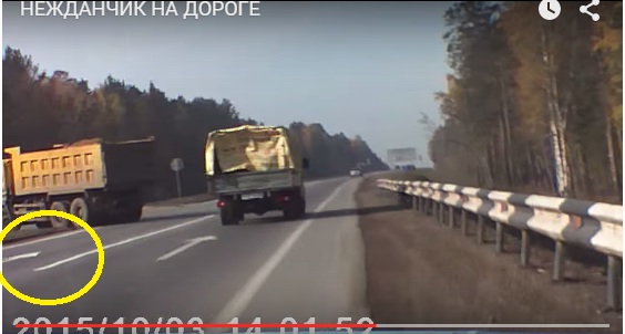 Нежданчик на дороге