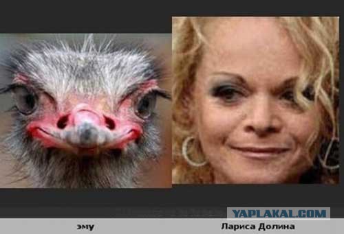 Бывают в жизни совпадения