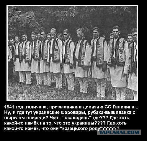 Завалили трупами